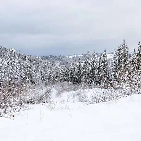 Rich Oak - з відкритим панорамний басейном 酒店