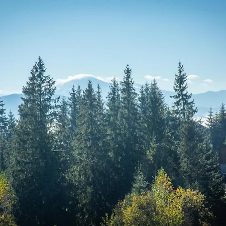 Rich Oak - з відкритим панорамний басейном * 亚布卢尼齐亚